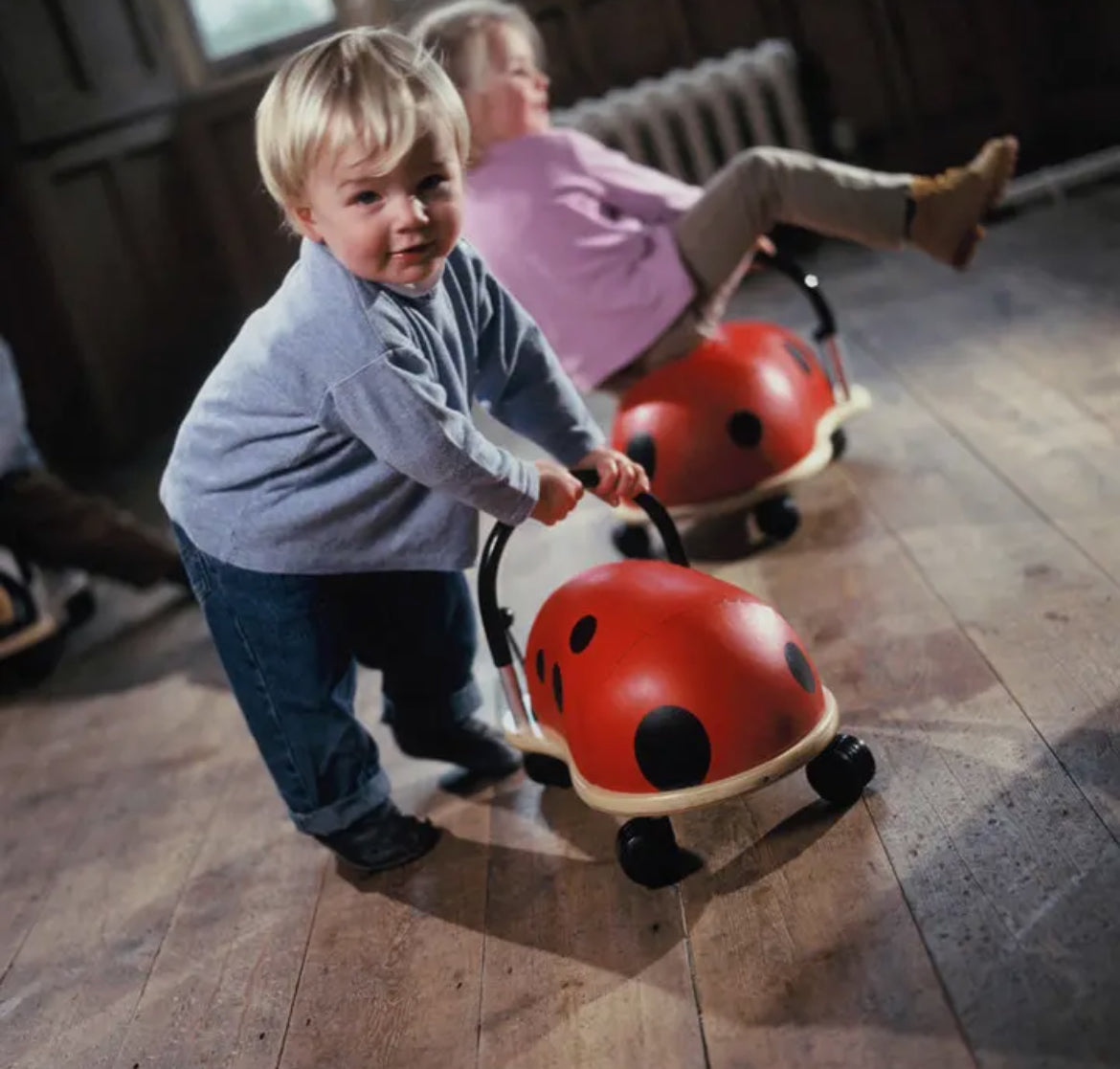 Lady Bug Ride On Toy