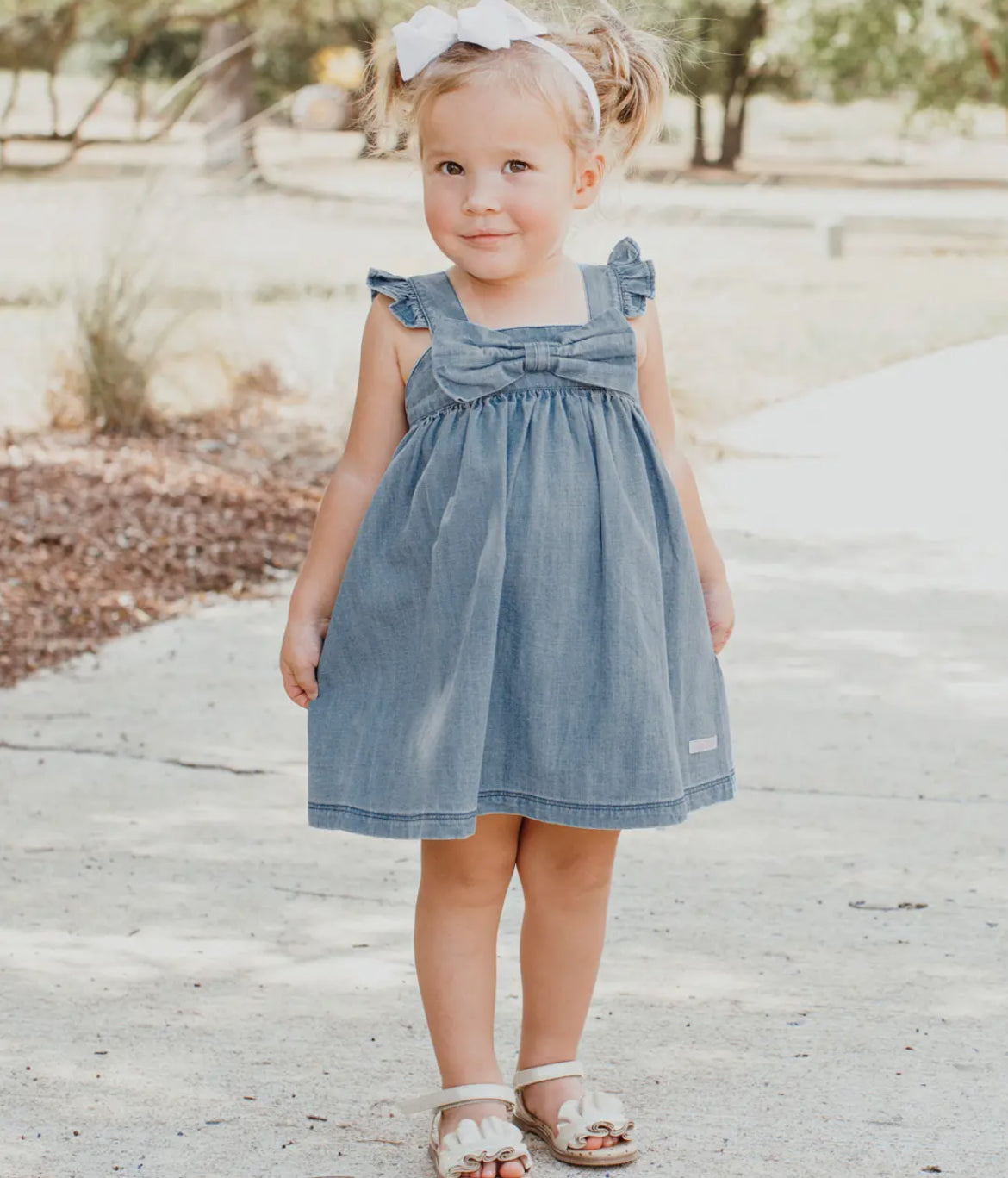 Flutter Bow Denim Dress
